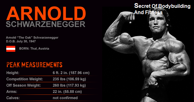 Arnold Alois Schwarzenegger Size (Stats) - Bodybuilding The Secret Revealed - Arnold Schwarzenegger: Classic Bodybuilder Measurements Revealed