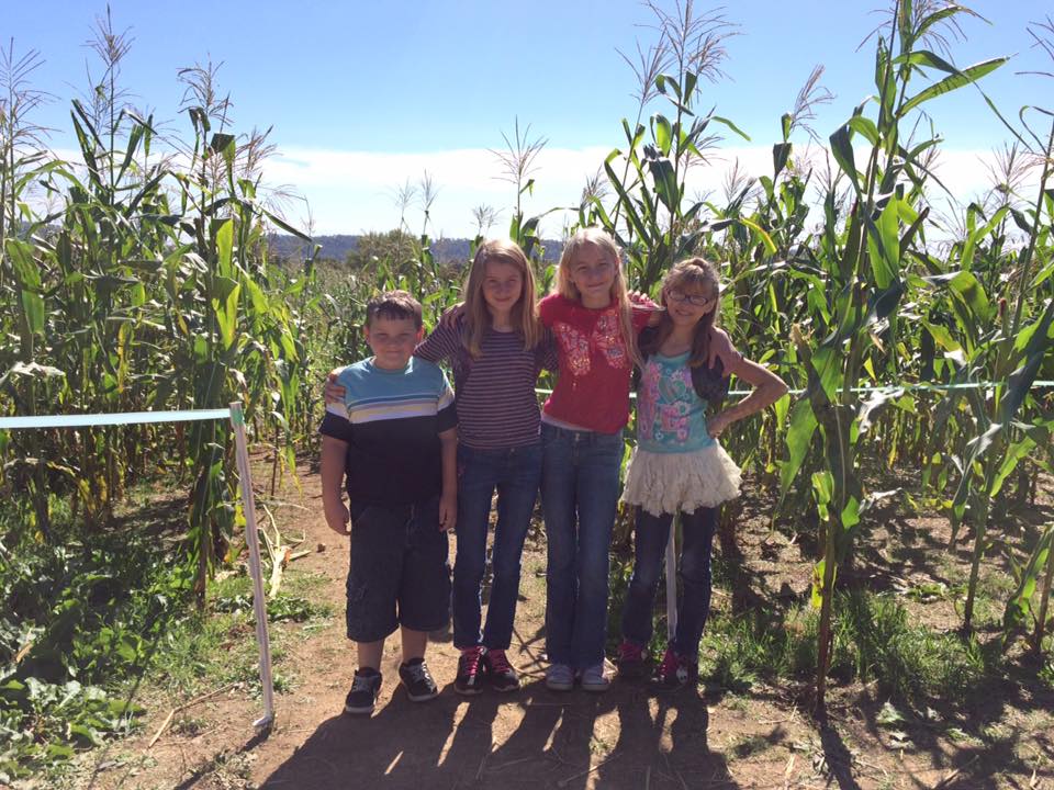 Trips 'n Toys Fruit & Berry Patch Knoxville, TN