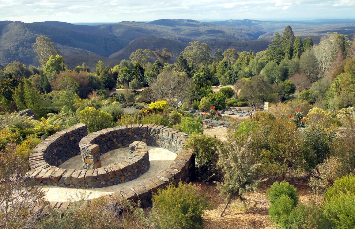 Sydney Exponential Another botanic garden Mt Tomah