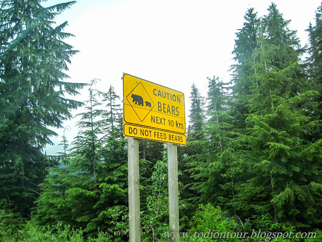 Caution Bears!