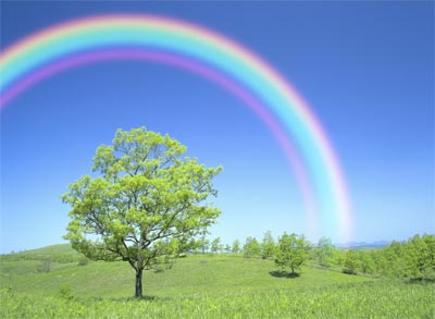 Rainbows Pemandangan Pelangi Terindah Dunia Gambar