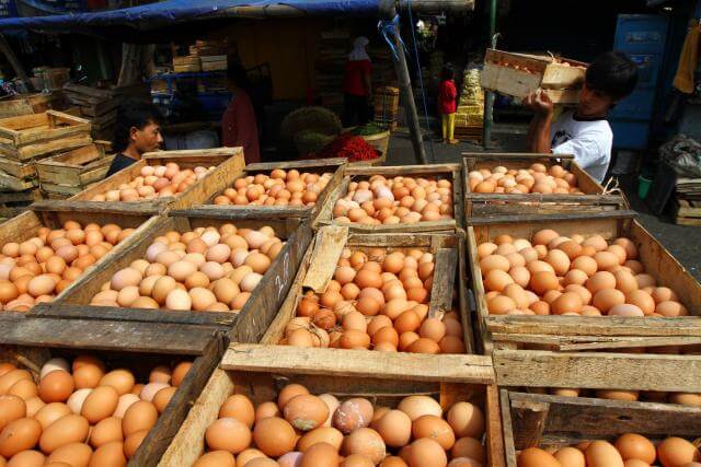  kandungan protein telur rebus