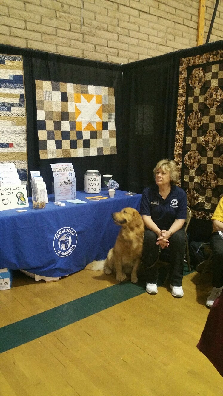 Stitchin' by the River Studio Orange County Quilt Guild Show