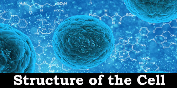 Kerala PSC - Study Material : Biology (Structure of the Cell)