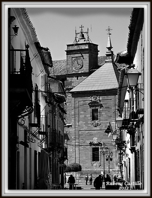 RUBENS CASTILLO VILLANUEVA DE LOS INFANTES (CIUDAD REAL)