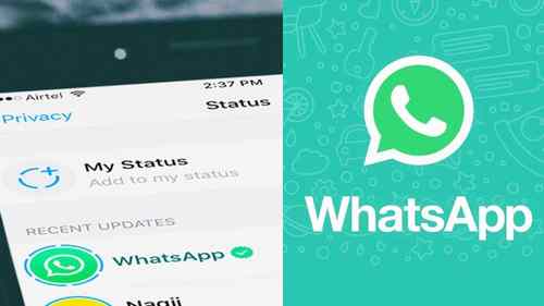 Whatsapp business кнопка. Status send message. Как отменить отправку письма в mac os. Status send message. Udemy.