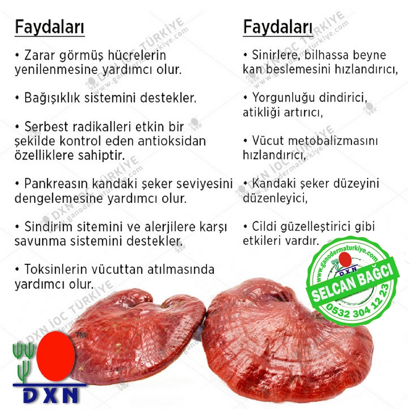 Dxn Turkey Leader Selcan Bağcı En Büyük Ekip 0532.3041223