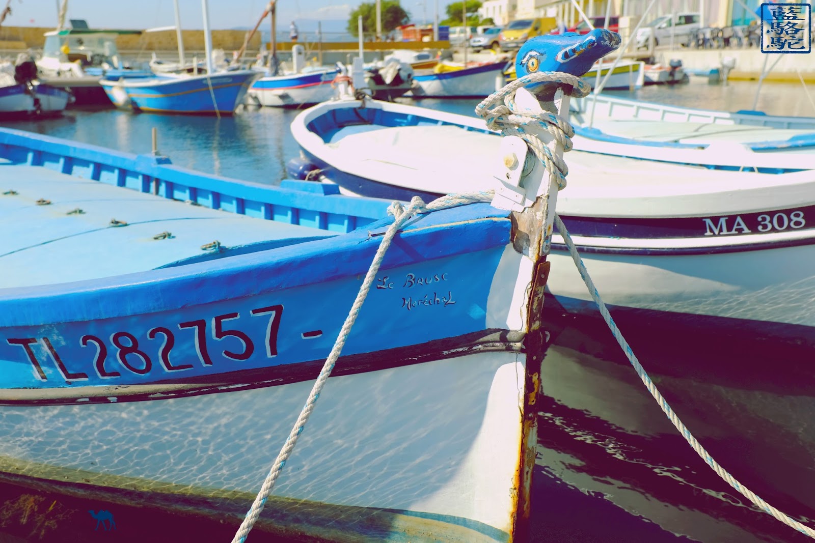 Le Chameau Bleu - la coque des pointus - Brusc - Var Le Chameau Bleu - la coque des pointus - Brusc - Var