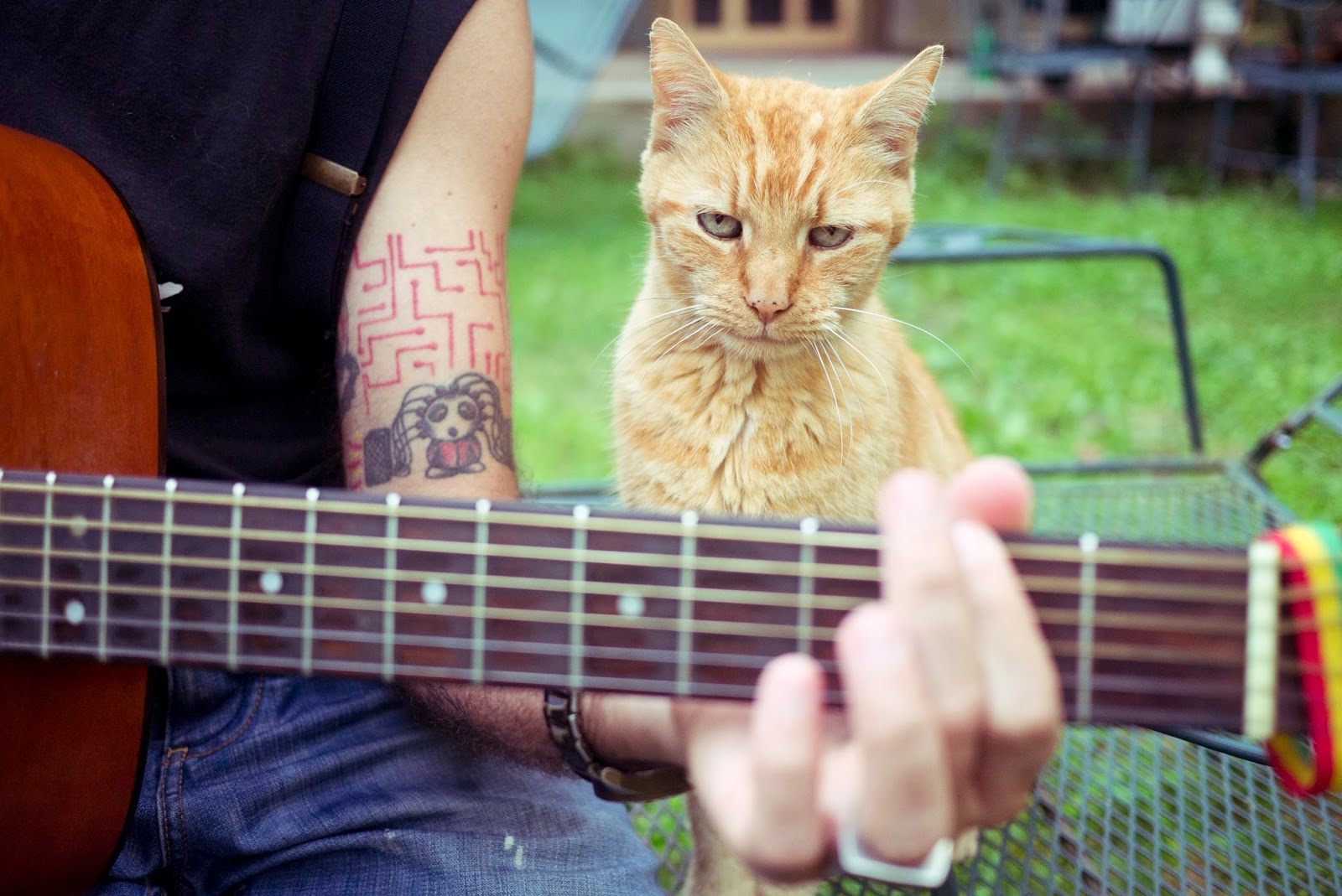 Just tune. Кот и хозяин гитарист. Кот музыкальный настрой. Ой Леха Леха на гитаре. Сыграй-ка.