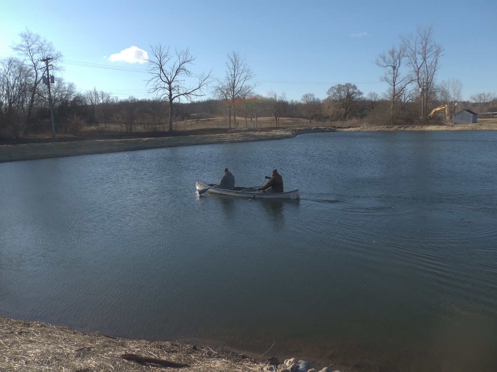 Tree Town Turf Guy: Duck Nesting Tubes (Revisited)