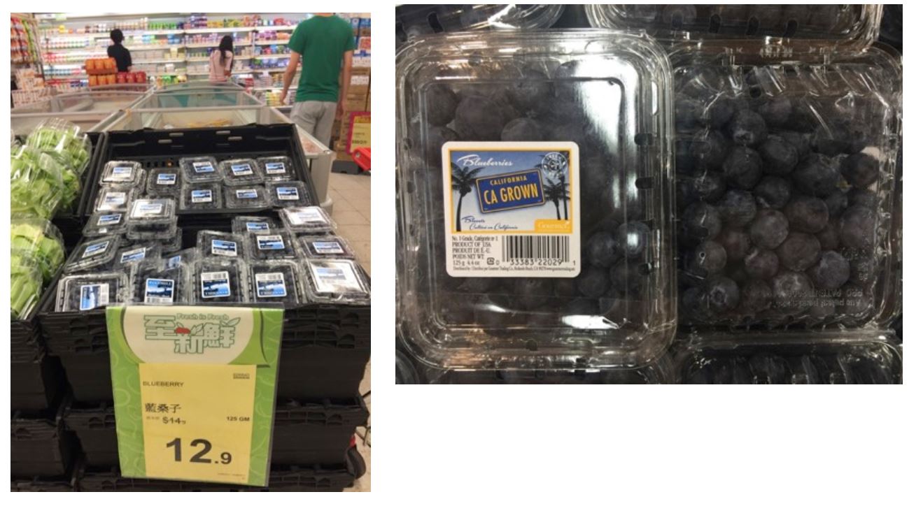 Blueberry FoodTech US Fresh Blueberries in Hong Kong