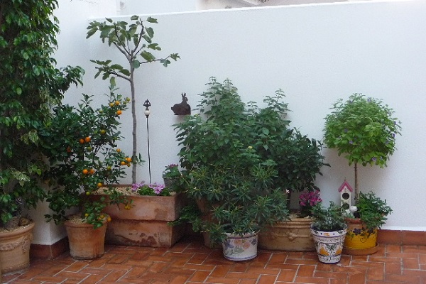 Un patio muy acogedor - Guia de jardin