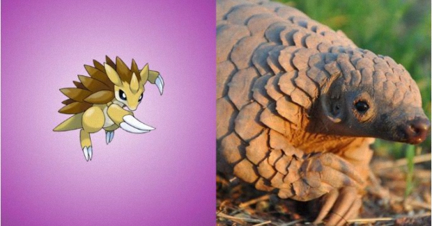 14 Pokemon You Didn't Realize Were Based On Real World Things