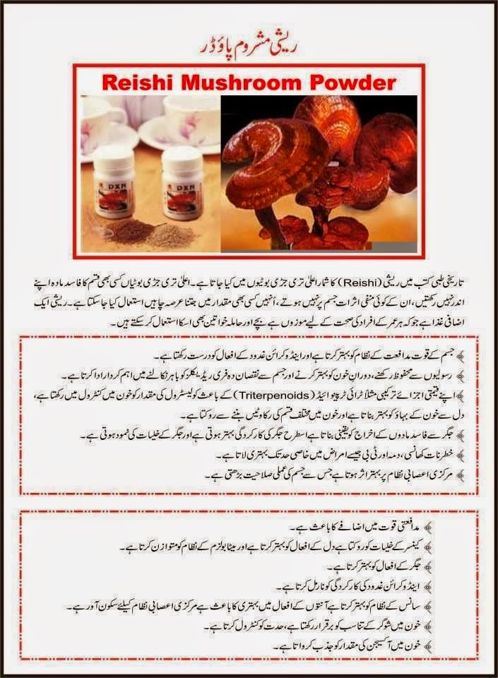 Mushroom Benefits In Urdu Mushroom Farming Pakistan At Home Mushroom Ke