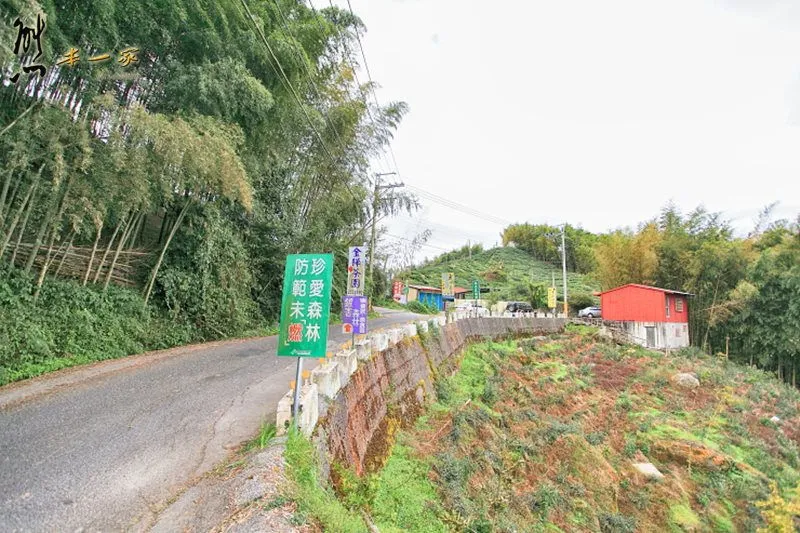 銀杏森林|武岫農圃|銀杏林觀景步道