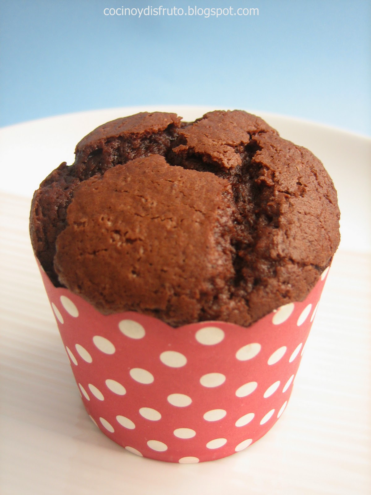cocino y disfruto MUFFINS DE CHOCOLATE