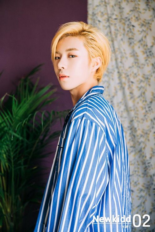 Profil, Biodata, Fakta NewKidd - Omah Kpop