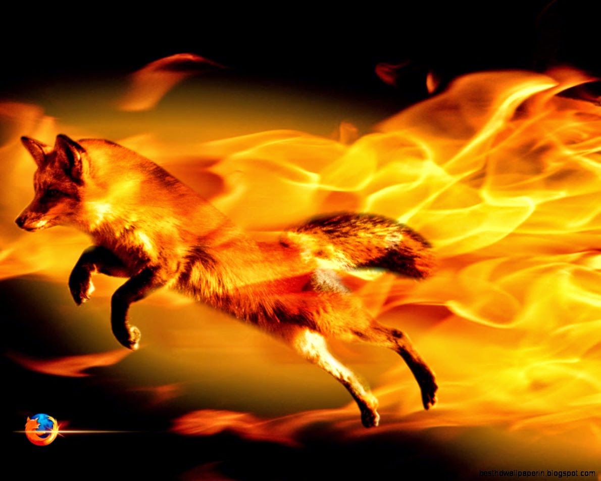 Mozilla Firefox Logo Wallpaper hd wallpapers ›› Page 3
