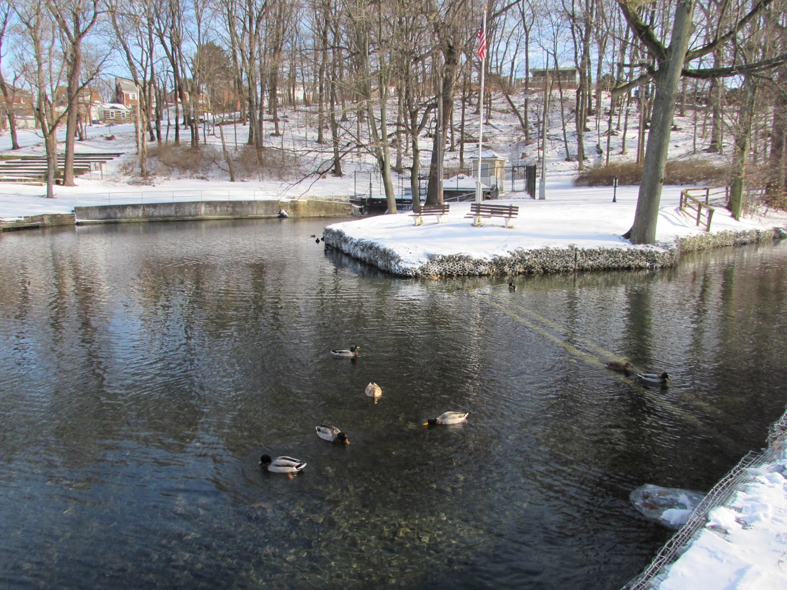 Historic Borough of Roaring Spring, Blair County Interesting