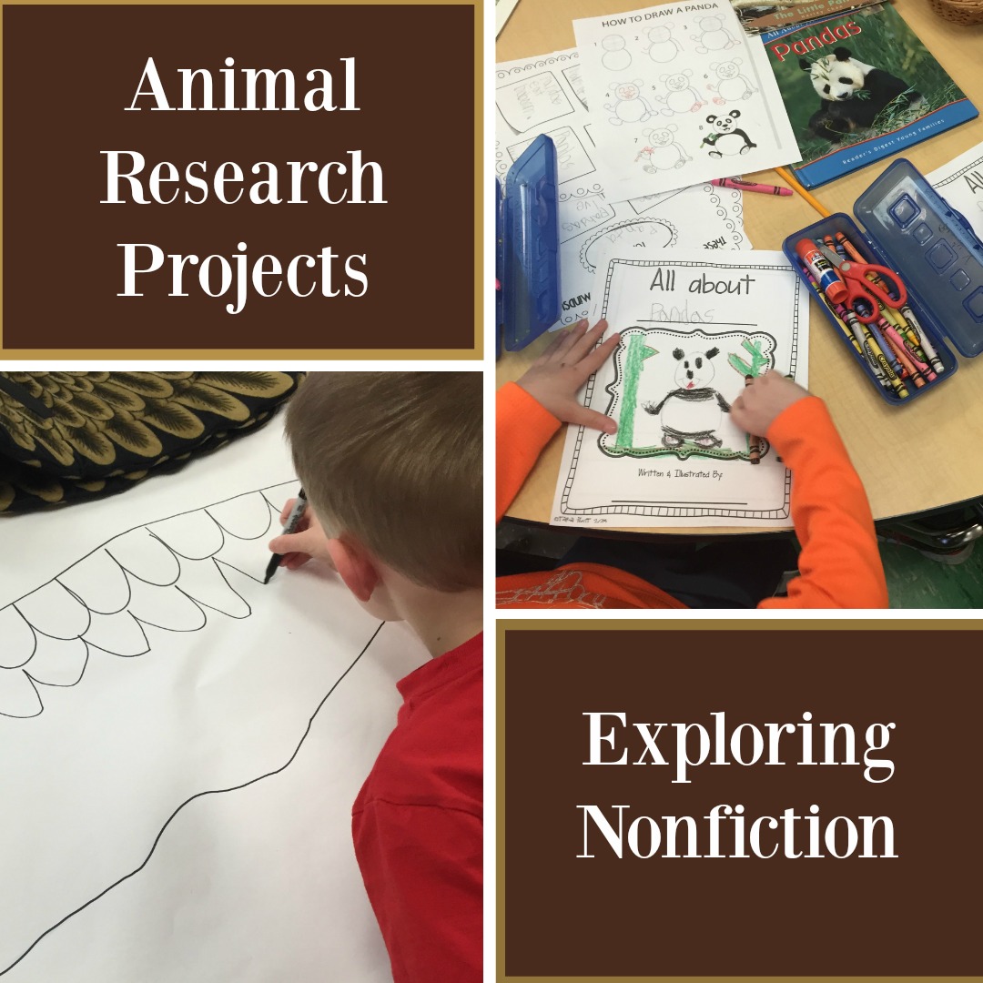 Coursework vs course work picture