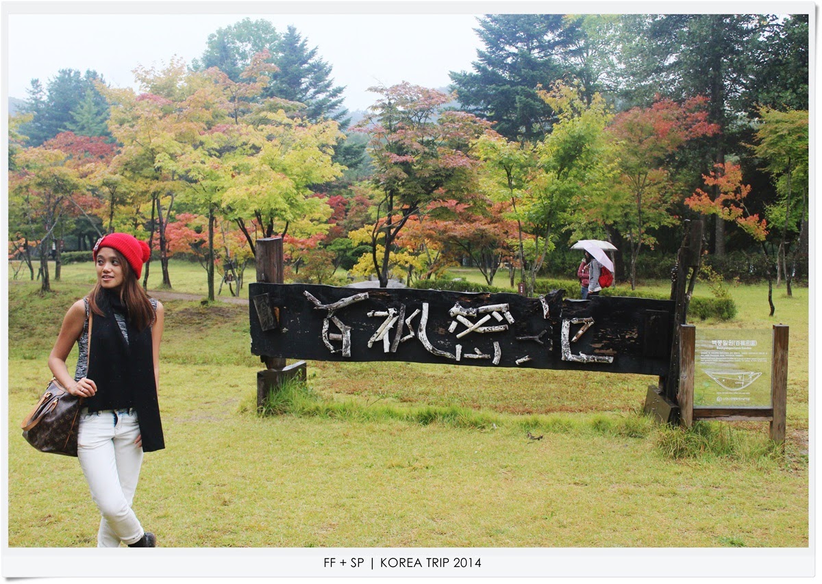 Nami Island 南怡島