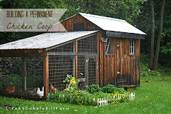 coop chicken coops building chickens permanent designs diy plans build run rustic slope weather garden lovely greens hen cold easy