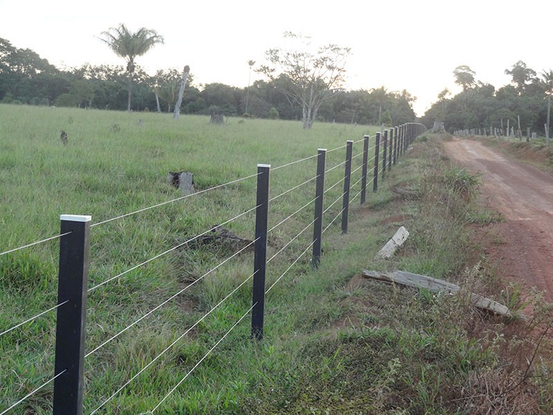 Alayon - Agronegócio: Conheça os cuidados para se ter com os arames de