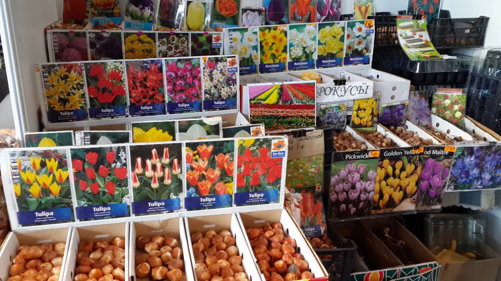 Сад И Огород Магазины Украина – Telegraph