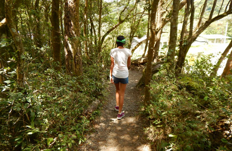 7 para viaje a Costa Rica