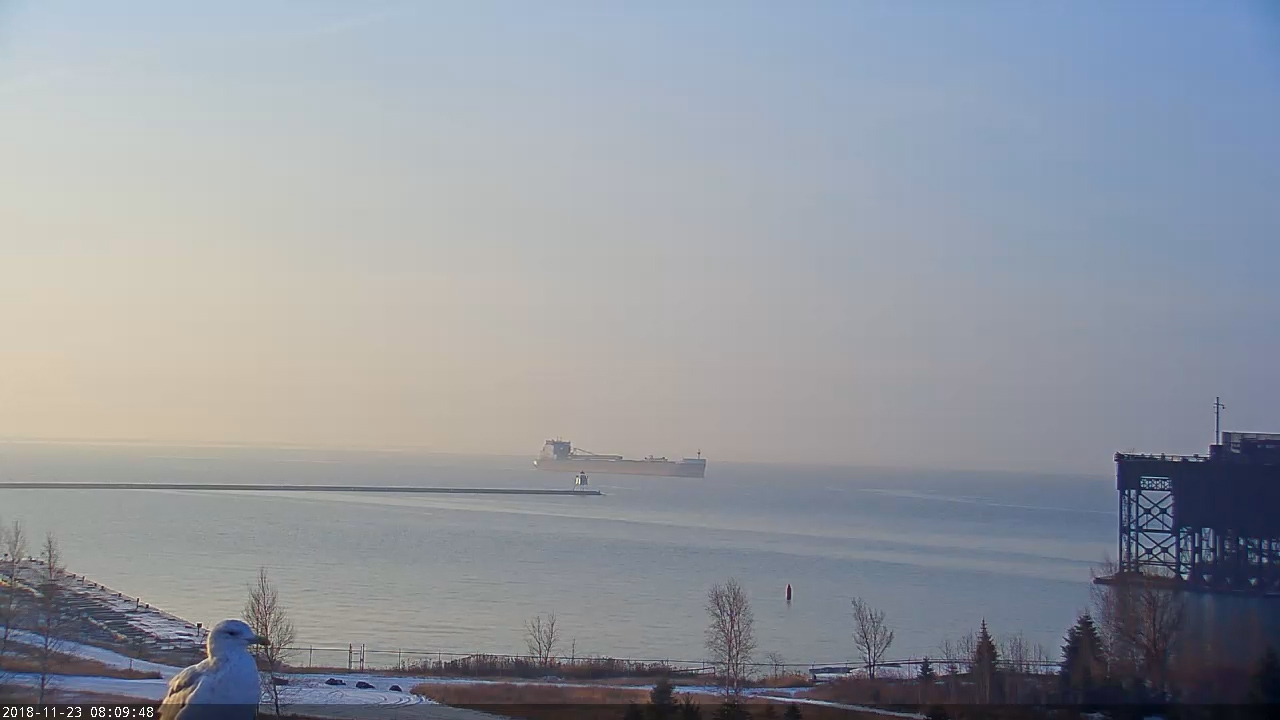 Duluth Harbor Cam Algoma Niagara arrived Two Harbors 11/23/2018