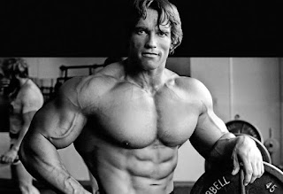 Arnold Schwarzenegger - world famous body builders - meraki