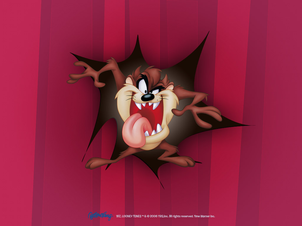 http://3.bp.blogspot.com/-xWYWp7Je8h8/Td7DvlpRDYI/AAAAAAAAAvg/f39DoNKFctI/s1600/Taz-Wallpaper-looney-tunes-5227092-1024-768.jpg