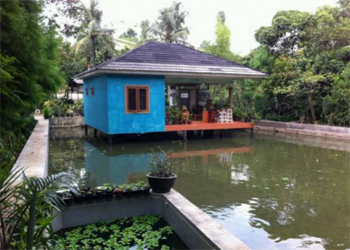 Desain Rumah Kayu Diatas Kolam Ikan