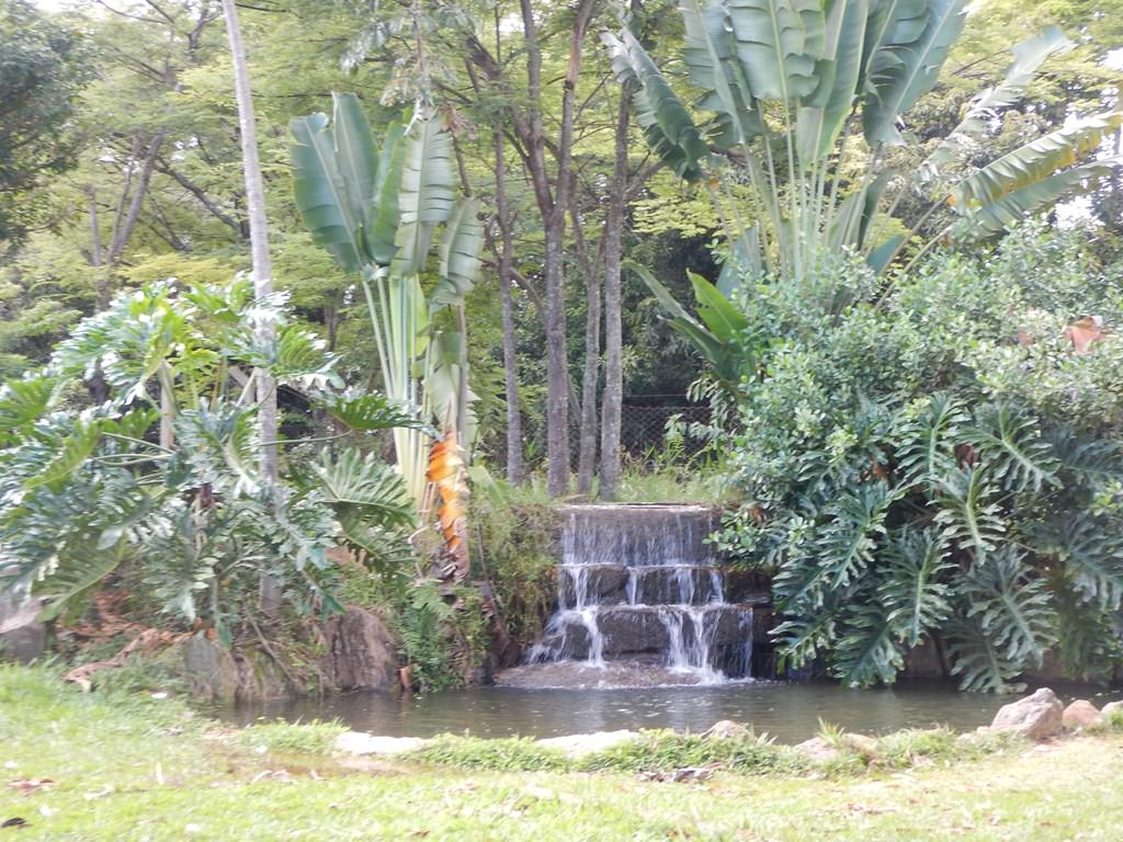Parque do Sabiá em Uberlândia Parque do Sabiá em Uberlândia