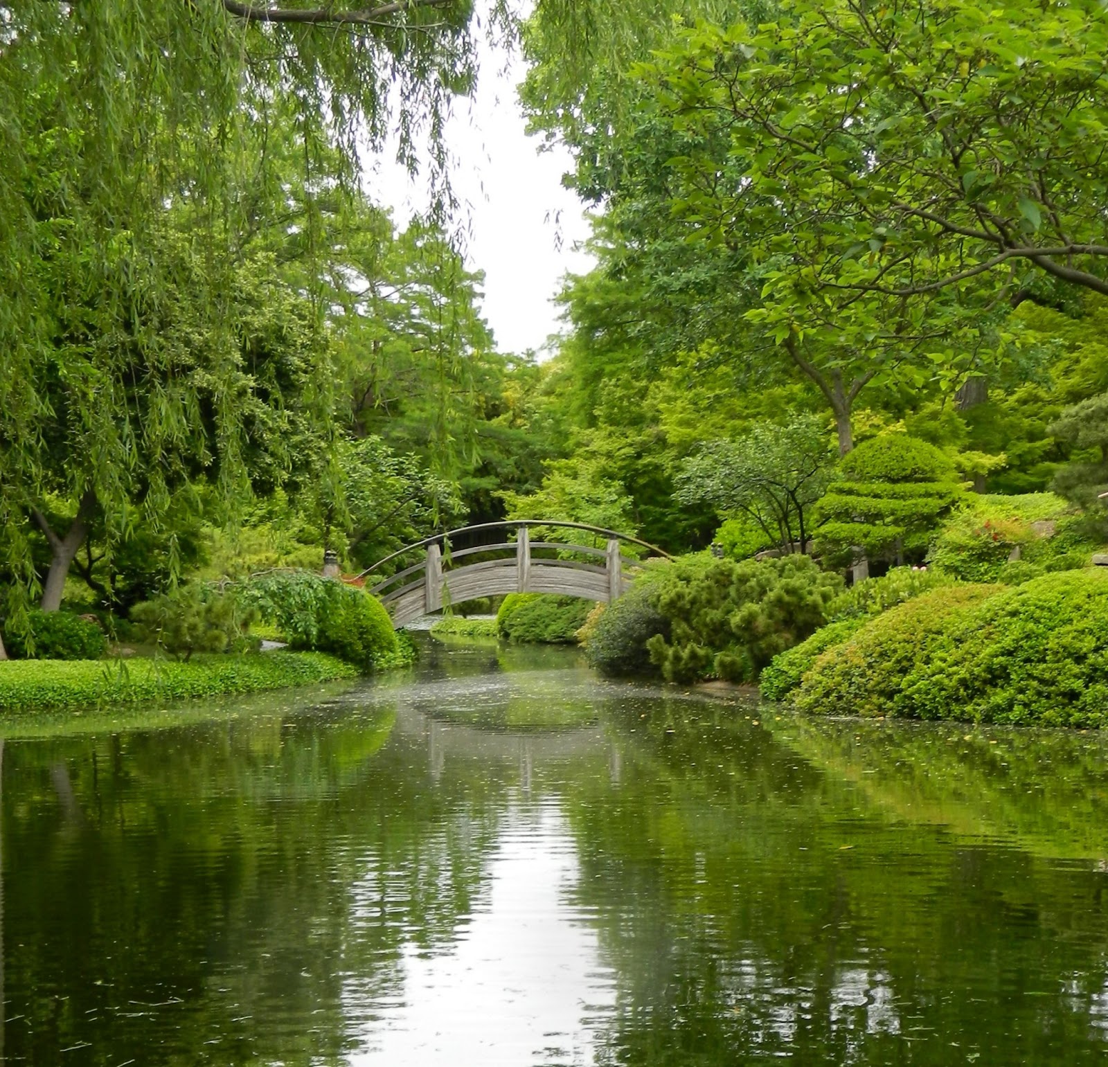 GardenEnvy This Texas Botanical Garden Is So Worth A Visit