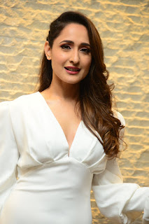Actress Pragya Jaiswal at Telugu Cine Rathasarathula Rajotsvam Curtain Raiser Actress Pragya Jaiswal at Telugu Cine Rathasarathula Rajotsvam Curtain Raiser
