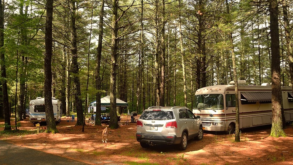 Bleecker Mountain Life Horse Camping In Lake Luzerne, In Photos