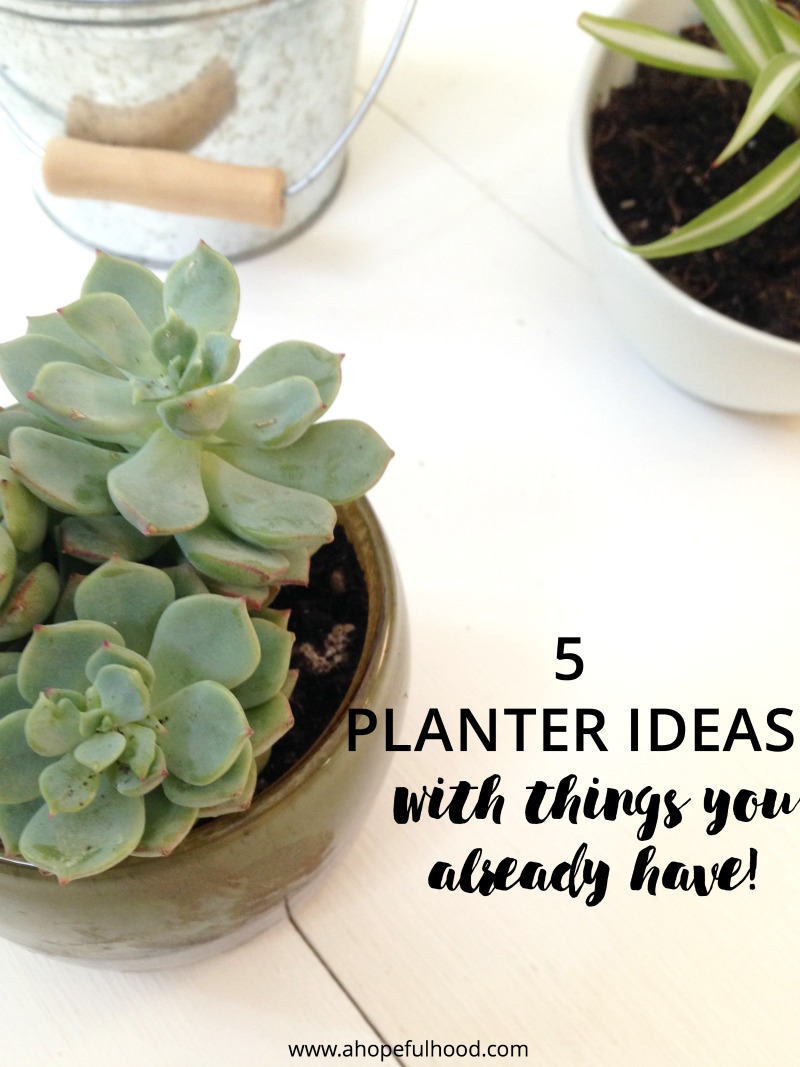 5 things you can use as a planter for indoor plants...using things you probably already have! // via @ahopefulhood