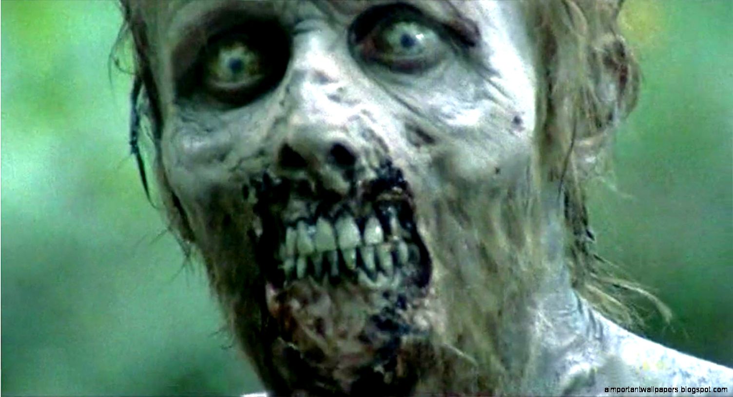 The Ukulele Blog The Walking Dead   Season 2 2011