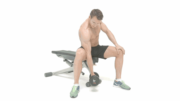 Biceps workout Hindi CONCENTRATION CURL