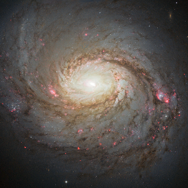 Seyfert Barred Spiral Galaxy M77