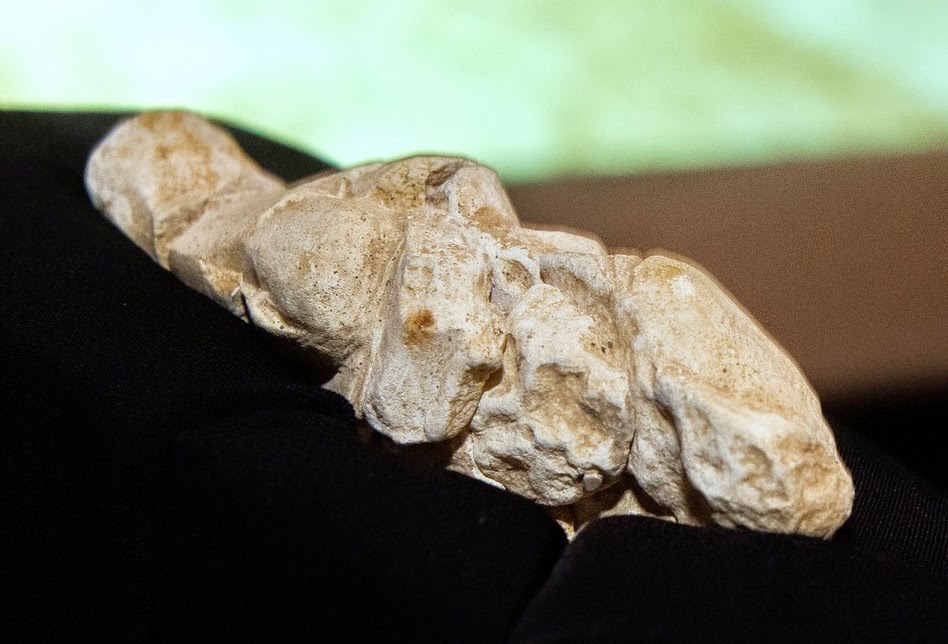 23,000 year old limestone 'Venus' dug up in France