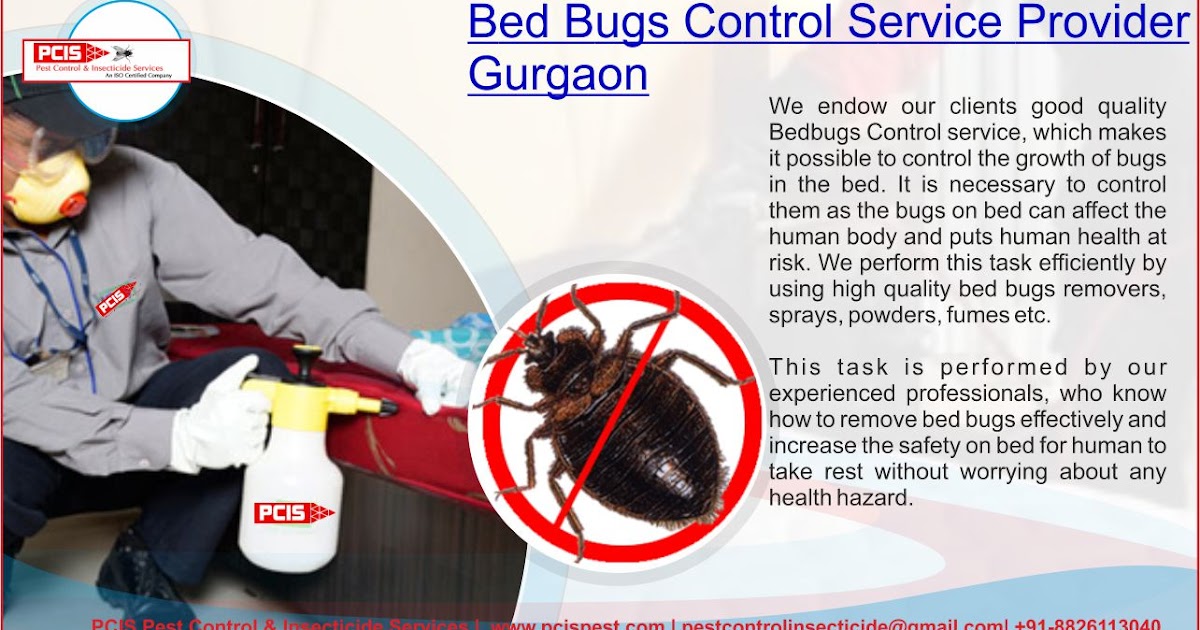 PCIS Pest Control & Insecticide Services Gurgaon