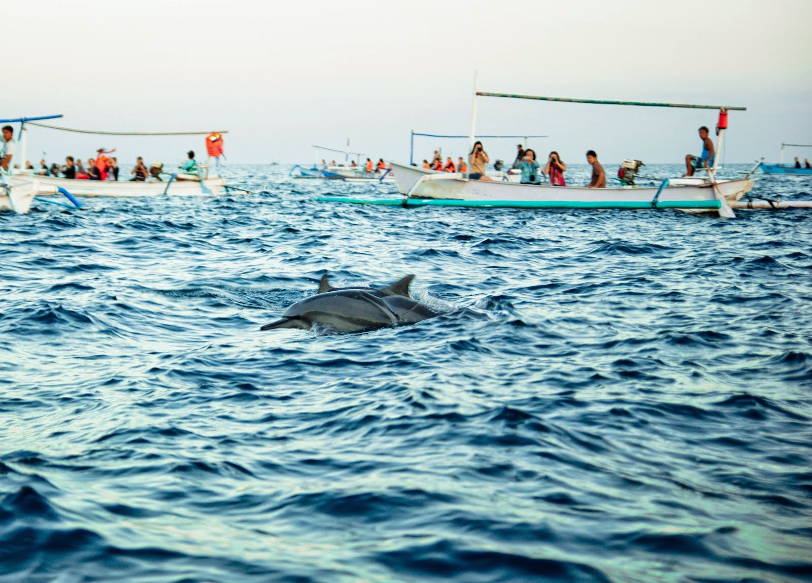 Wisata Bali di Lovina Beach