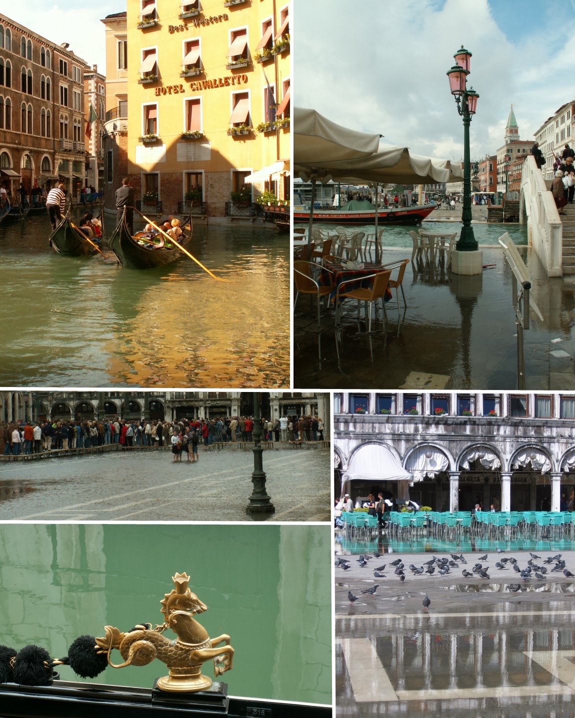 Venice Venezia flood gondola bank Plazza
