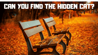 It contains picture puzzles in which one has to find the given hidden animals