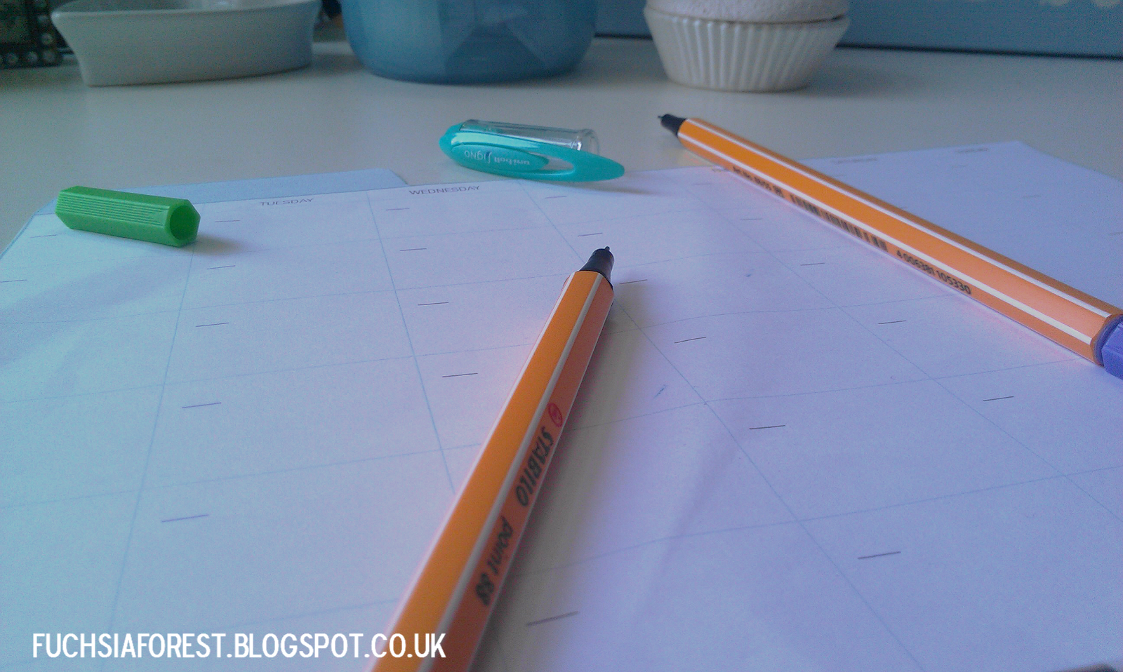 Fuchsia Forest Blog Post Planning