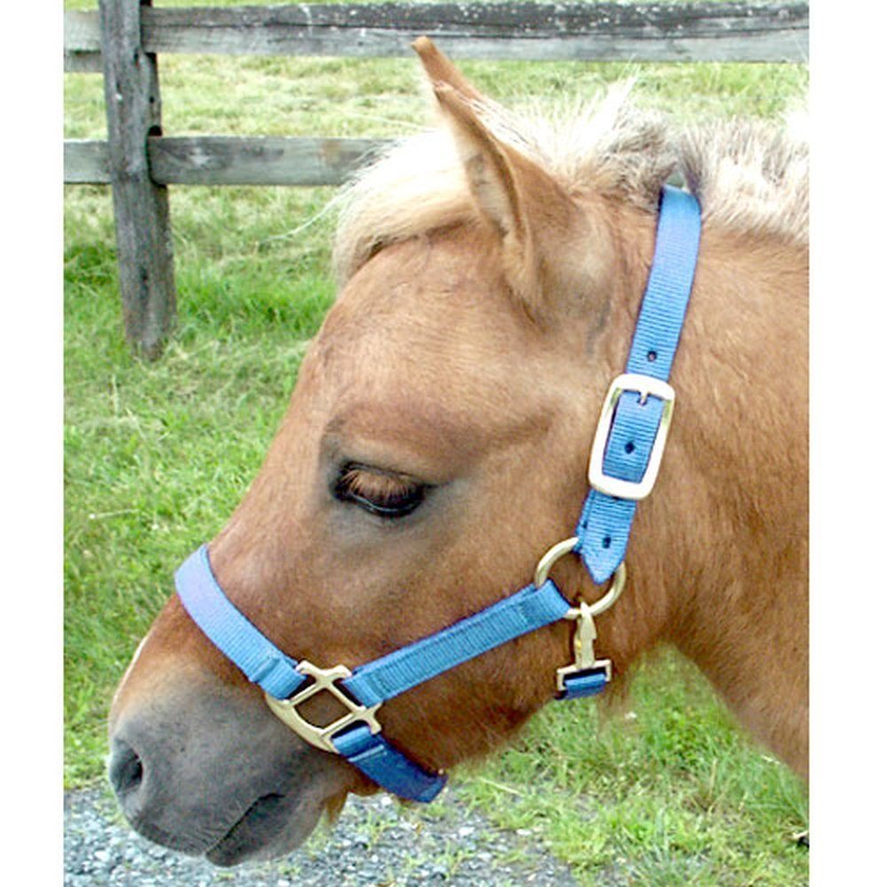 Types of Halters