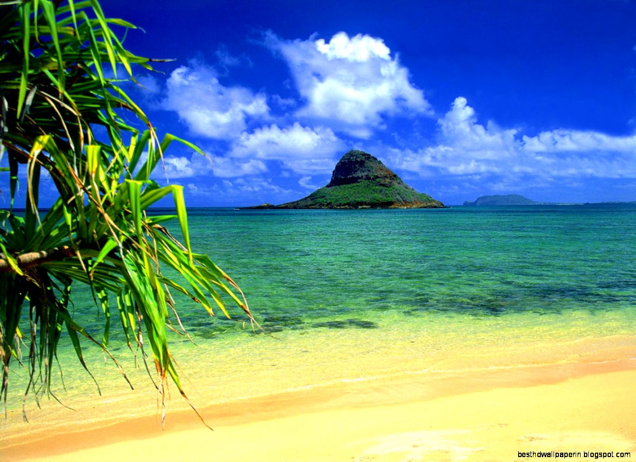 Hawaiian Beach Wallpaper 6915953