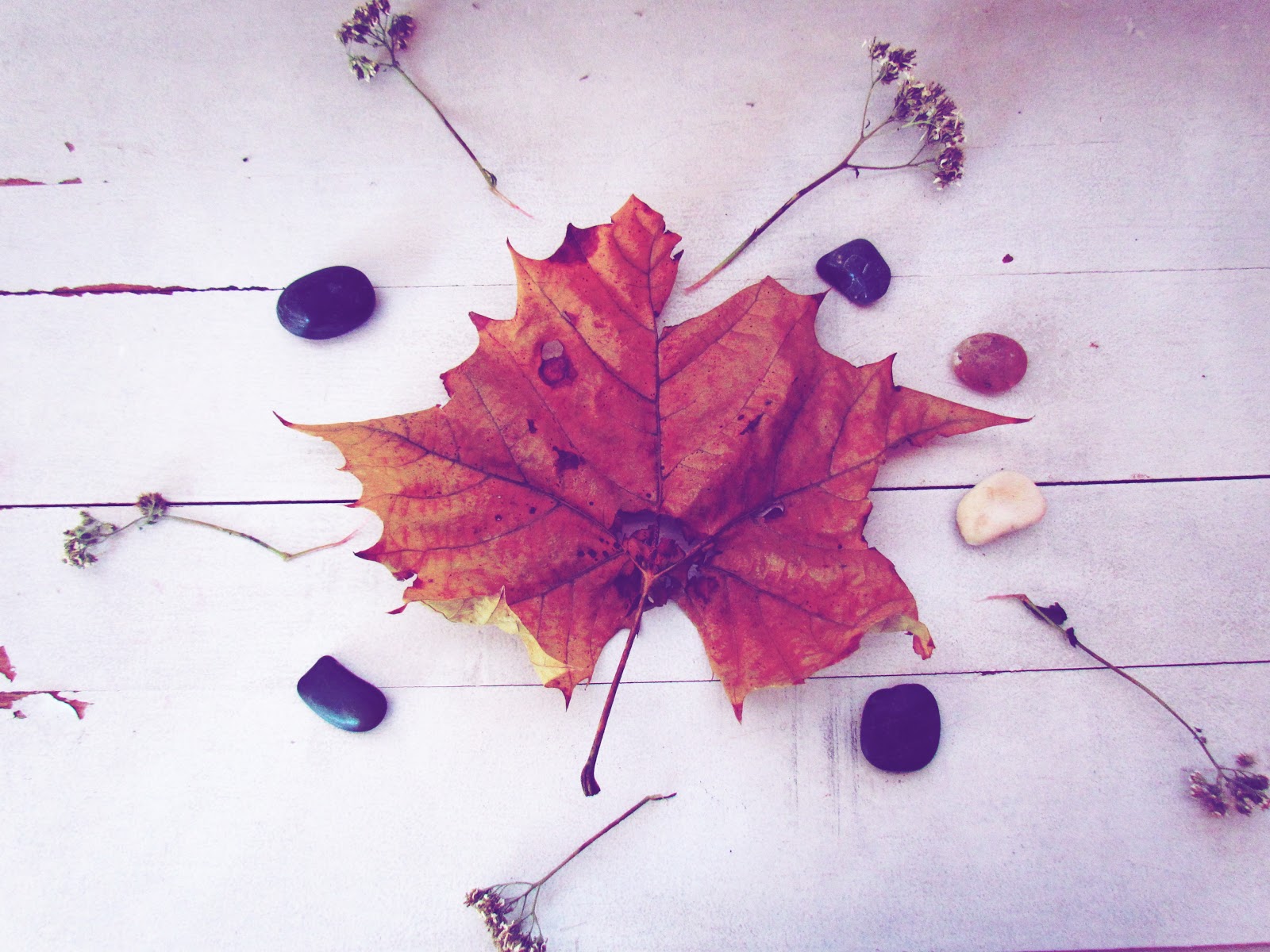 Nature Art Flat Lay With Autumn Leaves, Rocks, and Pinecones